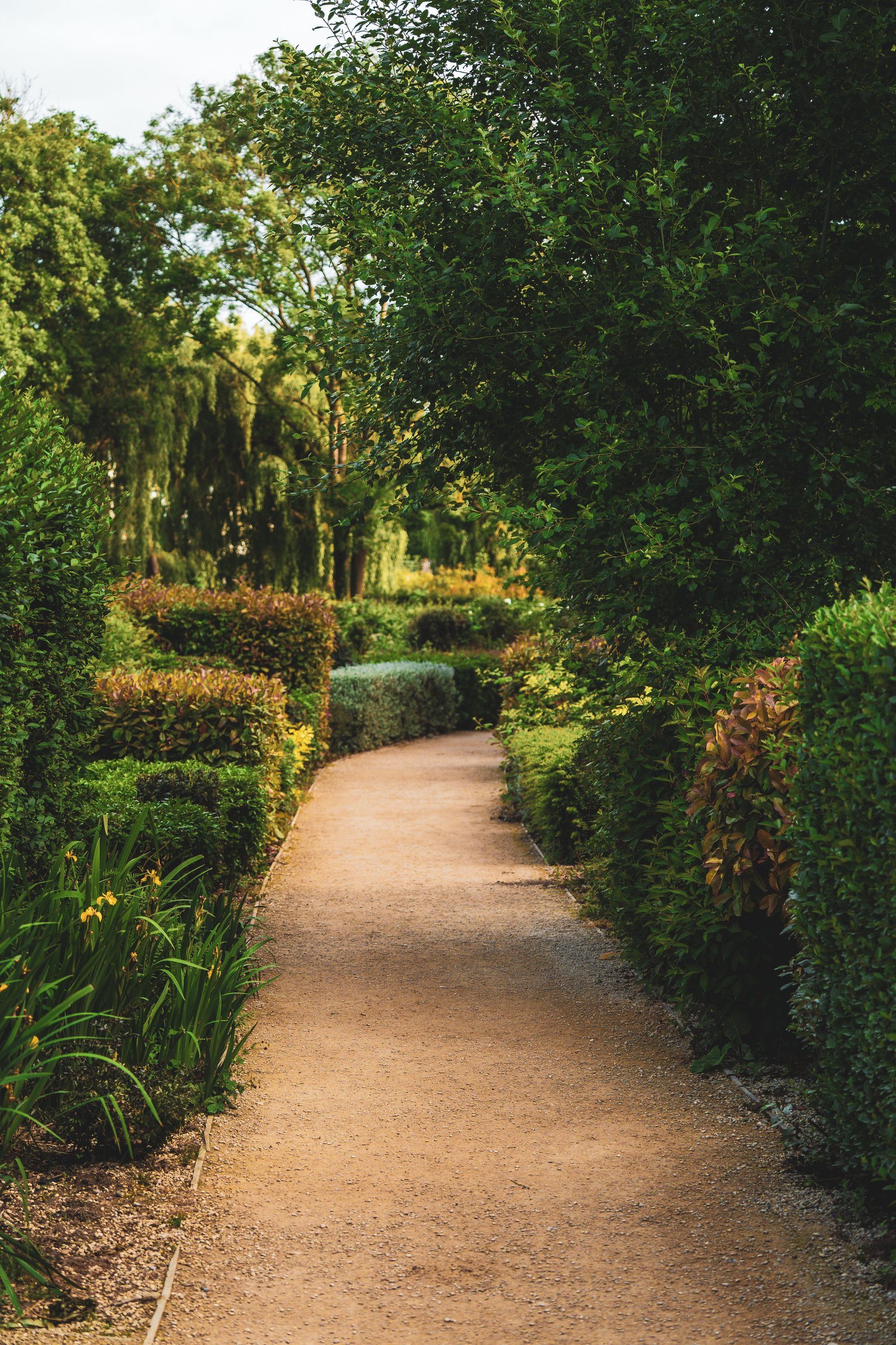 Landscaping Services